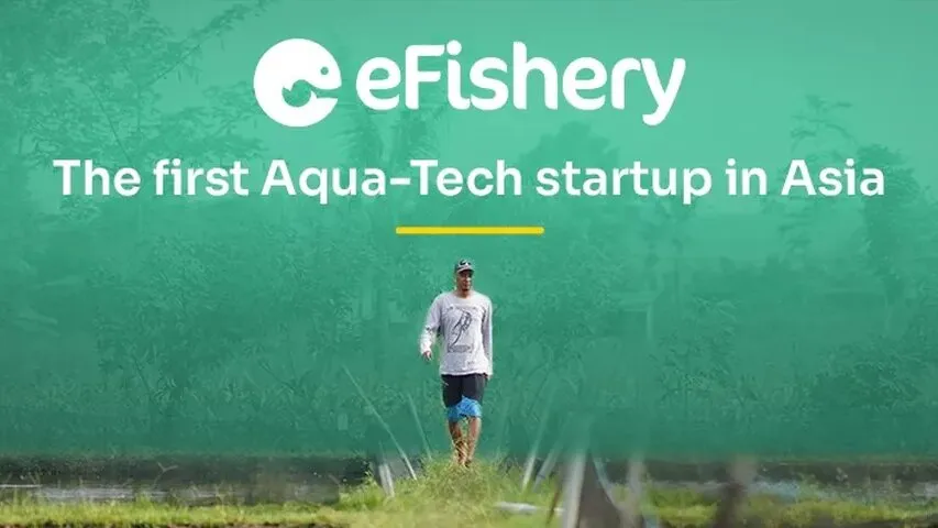 Startup Aquakultur eFishery Tunjuk CEO Baru Gantikan Gibran