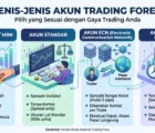 Jenis-Jenis Akun Trading Forex